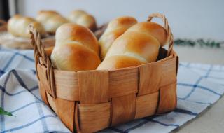 东菱面包机菜谱 东菱面包机做面包的配方